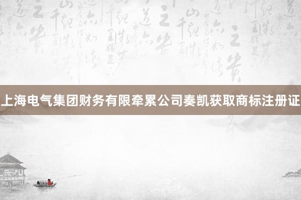 上海电气集团财务有限牵累公司奏凯获取商标注册证